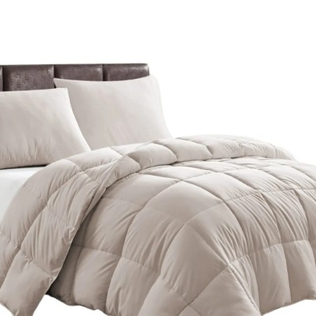 EDREDOM QUEEN PLUMAGE S1 ROZAC 240X260 BEGE